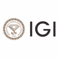 International Gemmological Institute (India) Limited
